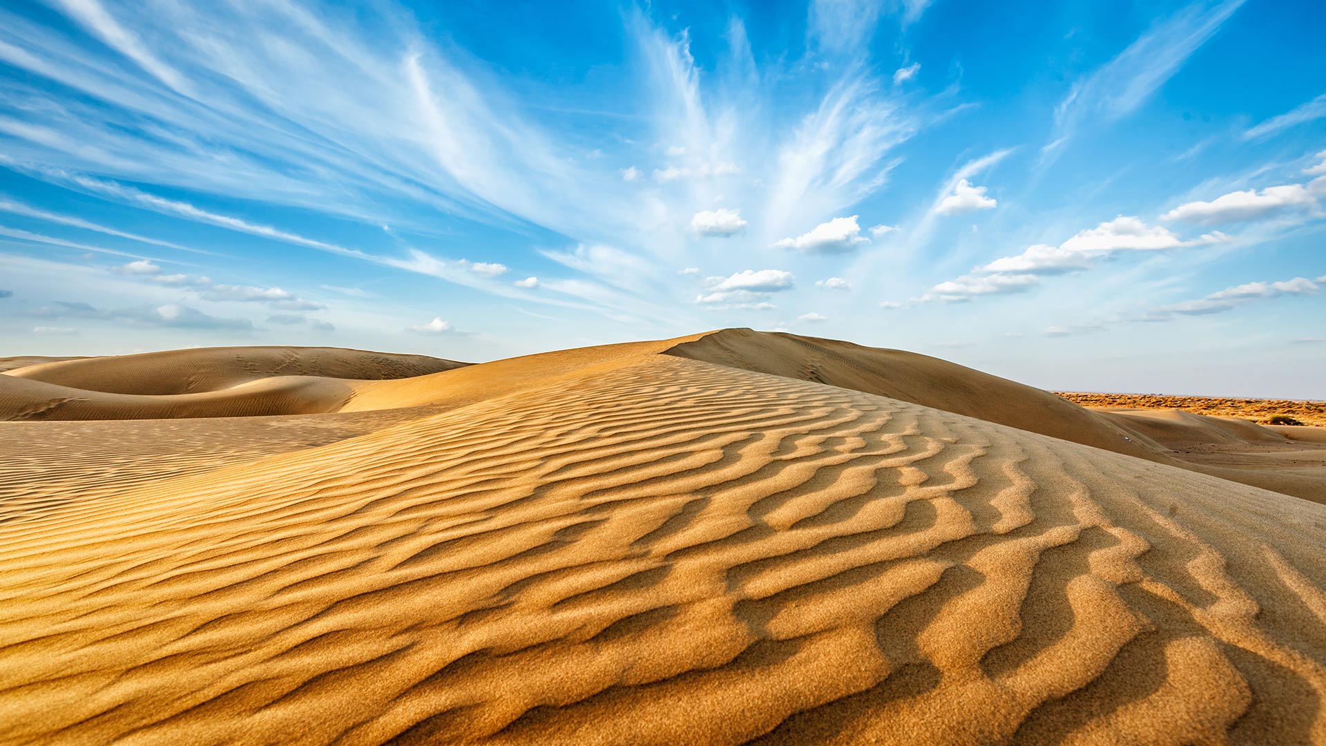 Cover Image of the Post